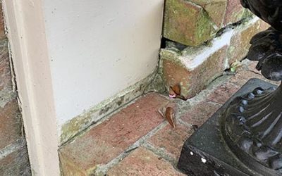 How to Repair Concrete Foundation: Expert Techniques and Tips